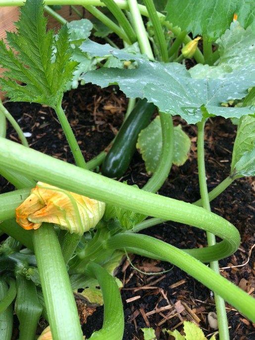 Photo 27-08-2018, 17 02 12 (1).jpg