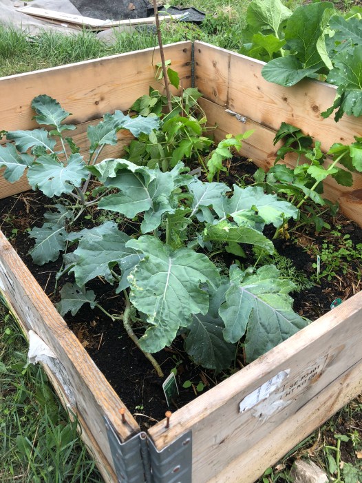 Photo 27-08-2018, 17 02 24